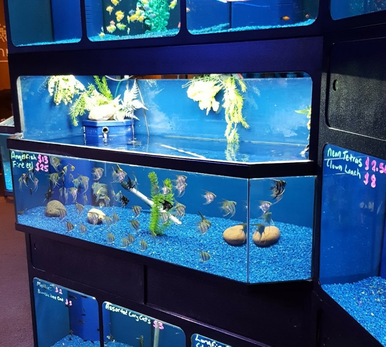 aquarium-technologies-photo